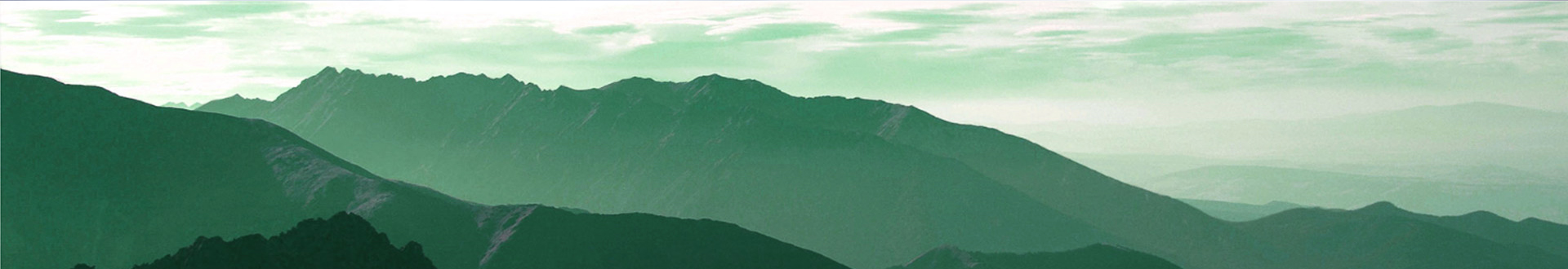 05_bg.jpg